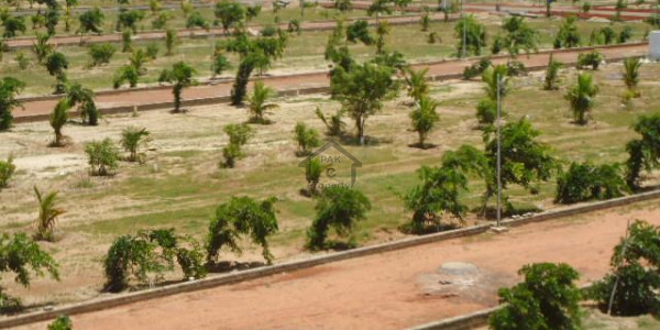 1 Kanal Plot In Sector C