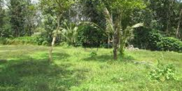 Residential Plot Is Available For Sale