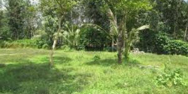 8 Kanal Pair Farm House Plot For Sale In Naval Farms Housing Scheme