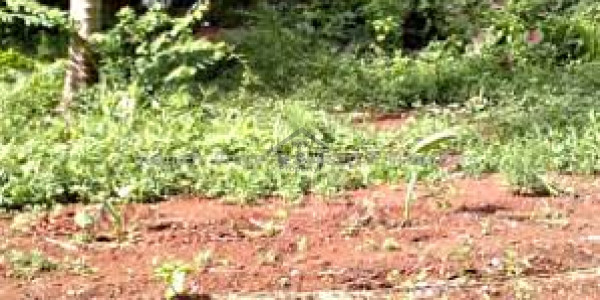 Boulevard 5 Kanal Farm House Land In Sector C