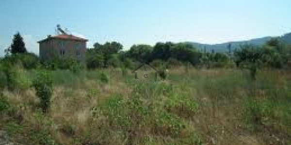 8 Kanal Farm With Maximum Road Front