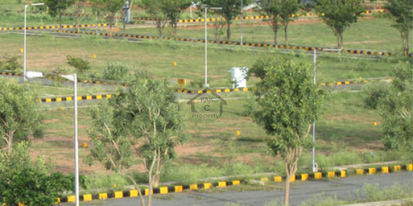 I-11/2 Plot Golden Chance 25x50