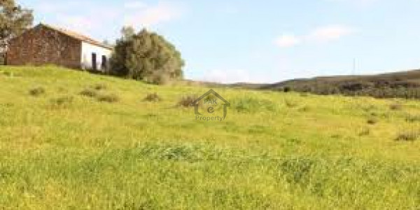 40x80 Plot For Sale In D-17/2