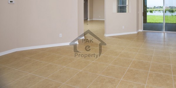 5 bed rooms 1200 yards renovated house F-8 and F-7 front and back lawn