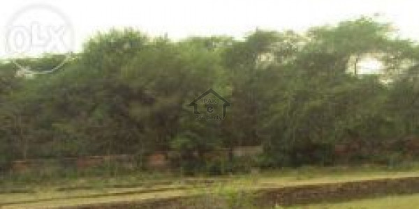 Residential Plot Is Available For Sale