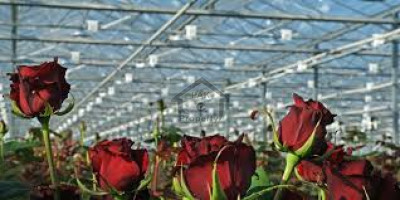 Aljannat Farms Residential Land For Sale