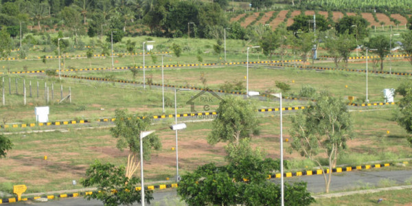 Good Location Plot For Sale In Street No. 30