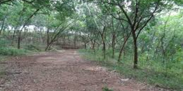 H Block Plot No 851 7 Marla For Sale