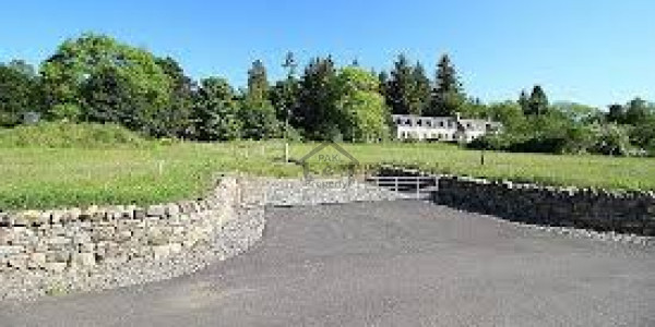 4 Kanal D Block Farm House Land On Investor Rate