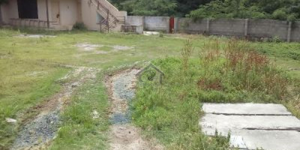 500 sq plot for sale in Precinct 43