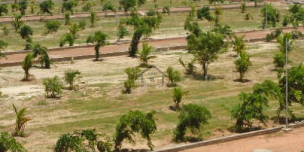 80 Feet Wide Road Plot For Sale