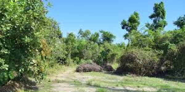 Residential Plot For Sale - Best Time To Investment