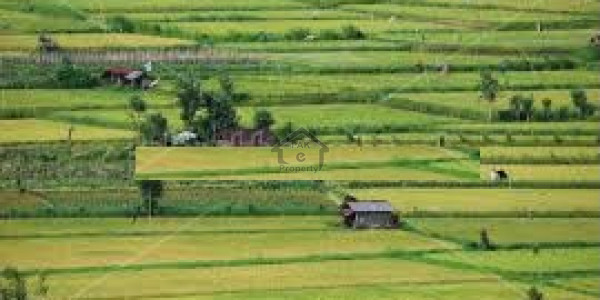 10 Marla Corner Plot For Sale