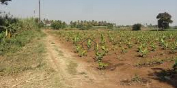 Farmhouse Plot For Sale At Jammu & Kashmir Housing Society