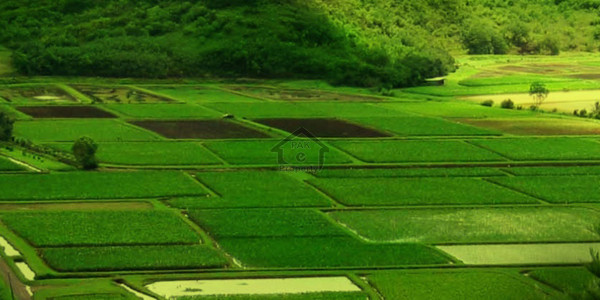 Prime Located Residential Plot For Sale