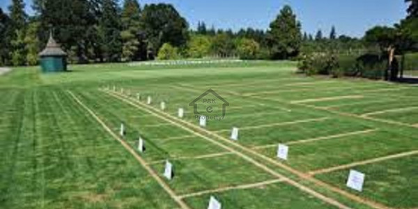 7 Marla Corner Plot For Sale