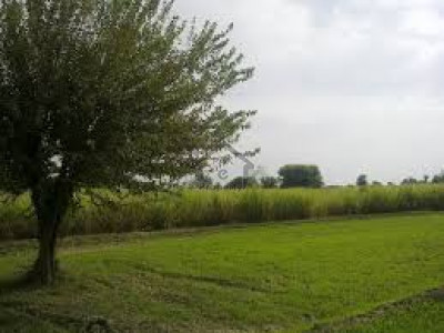 4 Kanal Beautiful Land For Farm House For Sale At Chakri Rawalpindi