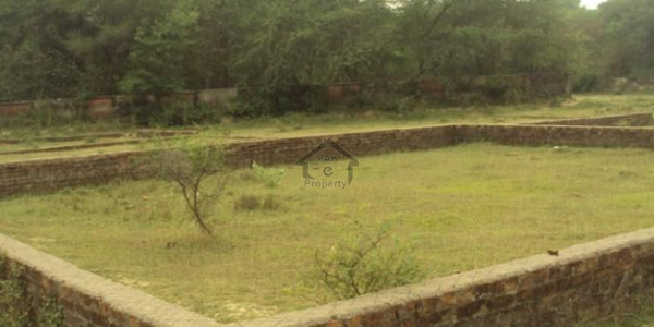 Residential Plot Available For Sale