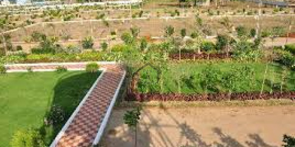 Residential plot Is Available For Sale