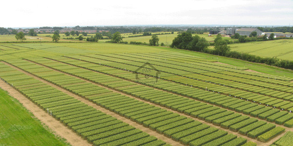 Bahria Town Phase 2 Extension- 10 marla Plot Available For Sale