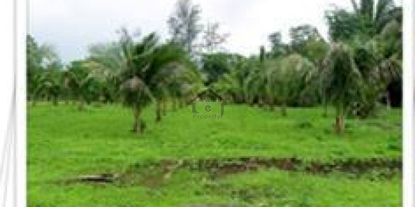 Mouza Robar - 100 Acre Agricultural Land For Sale in Gwadar