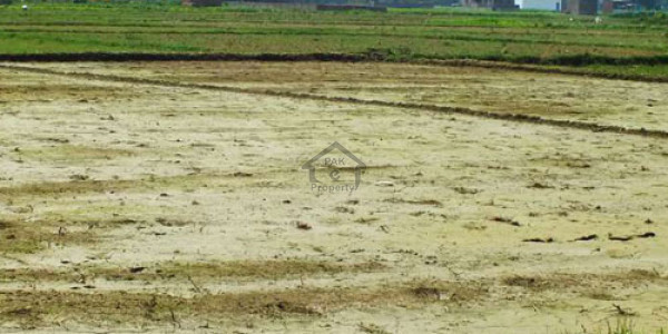 Eden City-1 kanal Residential Plot Is Available For Sale