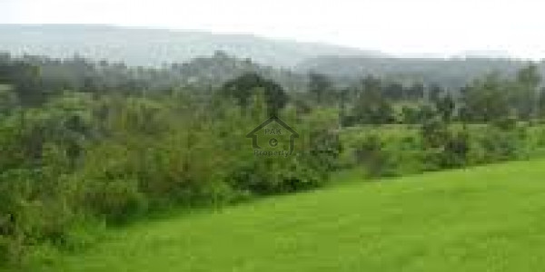 DHA-1 kanal Plot For Sale