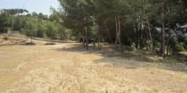 DHA-10 MARLA Residential Plot Is Available For Sale