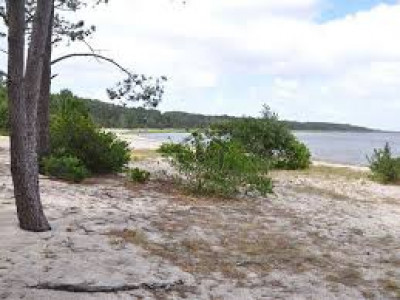 DHA-1 KANAL Plot Is Available For Sale