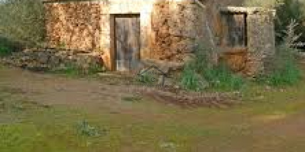 DHA-1 KANAL Plot Is Available For Sale