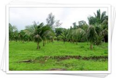 Garden Town - Ahmed Block - Residential Plot Is Available For Sale IN  Garden Town, Lahore