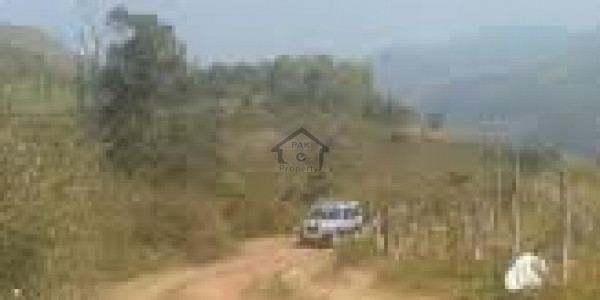 Ferozepur City-5 marla Plot File Is Available For Sale