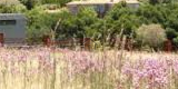 Ferozepur Road-30 kanal Residential Plot Is Available For Sale