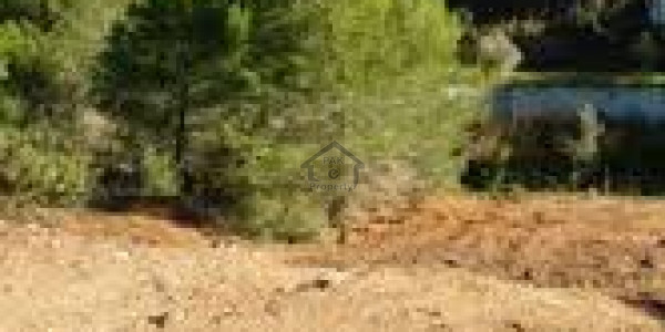 DHA-1 Kanal plot for sale