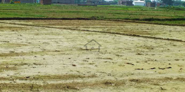 DHA-1 Kanal Plot For Sale