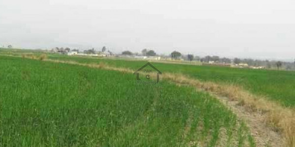 DHA-1 Kanal Plot For Sale
