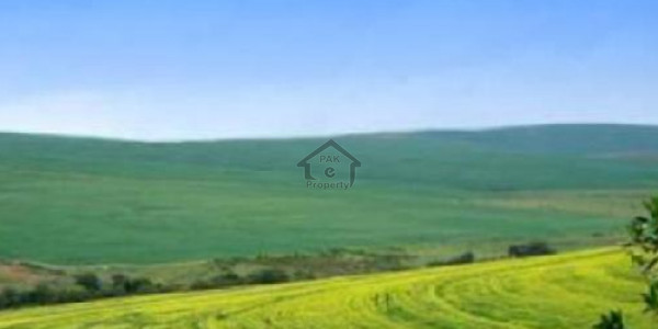 Al Ameen Society- 10 Marla Residential Plot Is Available For Sale