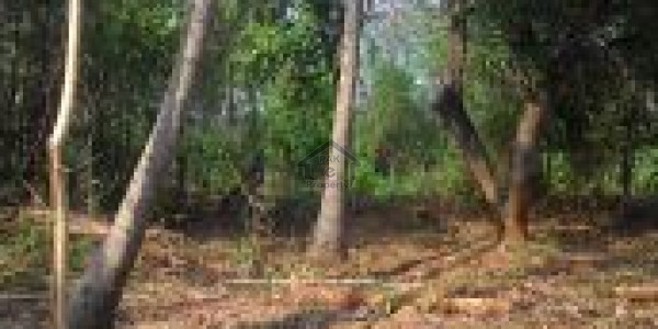 DHA - One Kanal Corner Plot No. H-637 For On 80ft Road