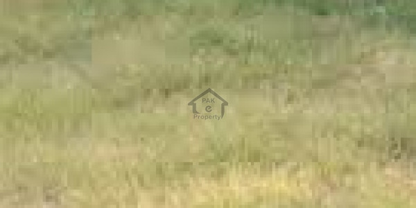 DHA - 1 Kanal Plot For Sale