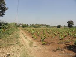 Barki Road, Cantt - Agriculture Land For Sale Best Location IN LAHORE