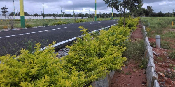 E-16/3 , Size 35x70, Plot All Dues Clear (cdechs)