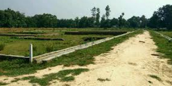 Punjab University Employees Society - 1 Kanal Plot No 36 B For Sale Direct Owner Meeting IN LAHORE