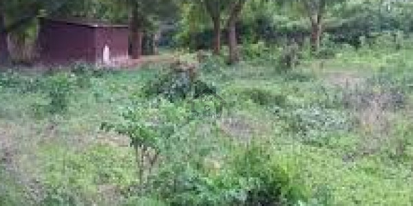 KEMC Housing Society - 2 Kanal Residential Plot Is Available For Sale