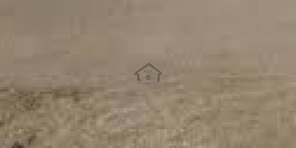 Gulberg 1 Kanal 16 Marla Beautiful House Prime Location