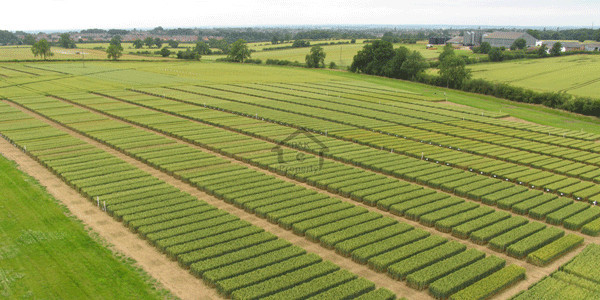 DHA Phase 9 Prism -1 Kanal Plot For Sale