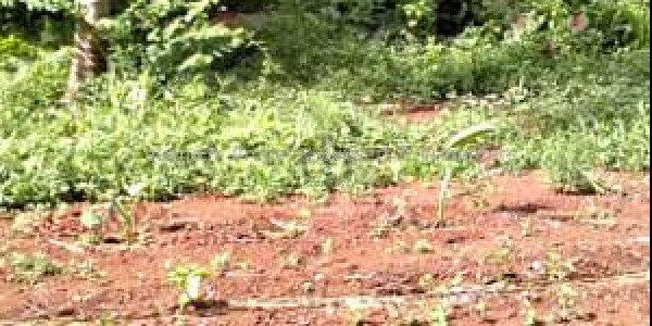 DHA Phase 8 -1 Kanal Corner Plot Is Available For Sale