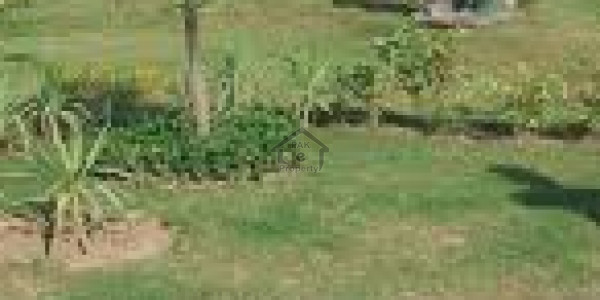 Zaitoon - 5 Marla Residential Plot Is Available For Sale