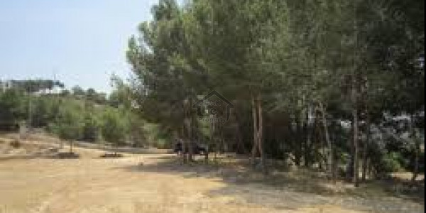 Zaitoon -5 Marla Plot For Sale In C Block