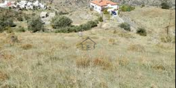 NFC 2-5 Marla Plot In Block H