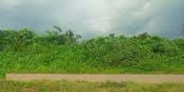 DHA Phase 7 -4 Marla  Commercial Plot Is Available For Sale